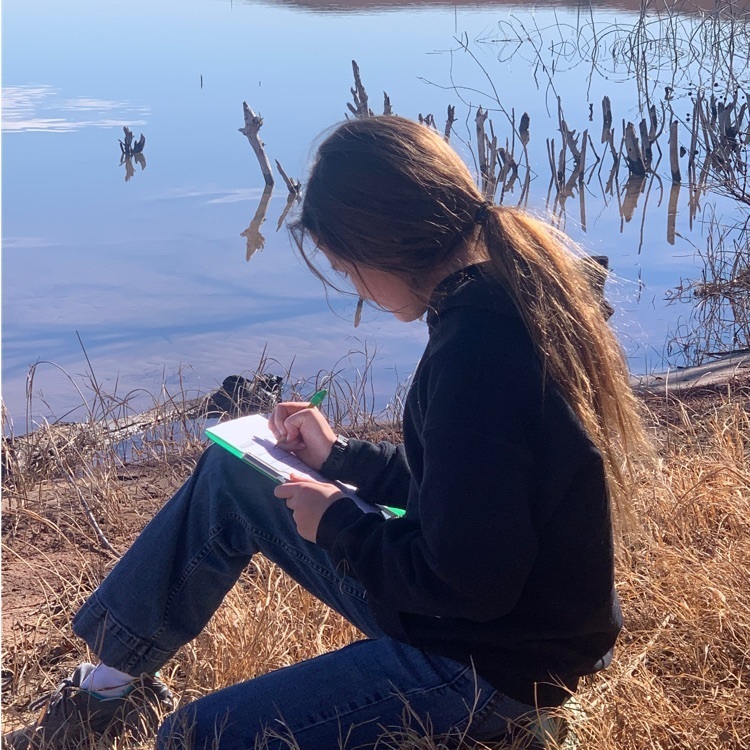 Josie Latta writing about the beautiful scenery at Lake Vincent. 