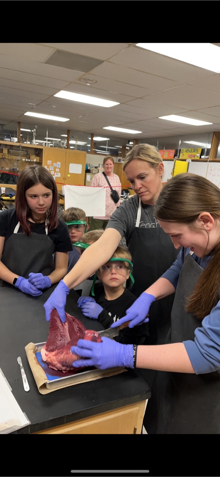 Mrs. Dowler helped Jenna Thomas dissect a cow's heart during our Night at the Library.